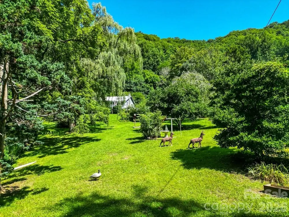 901 Rufus Robinson Road Sylva, NC 28779