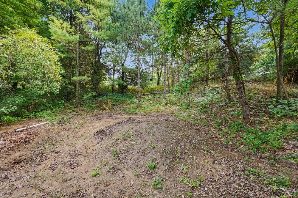 8221 S Island View Drive Croton Township, MI 49337