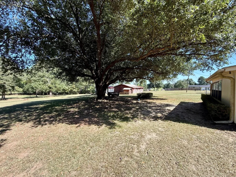 5096 Us Highway 287 Grapeland, TX 75844