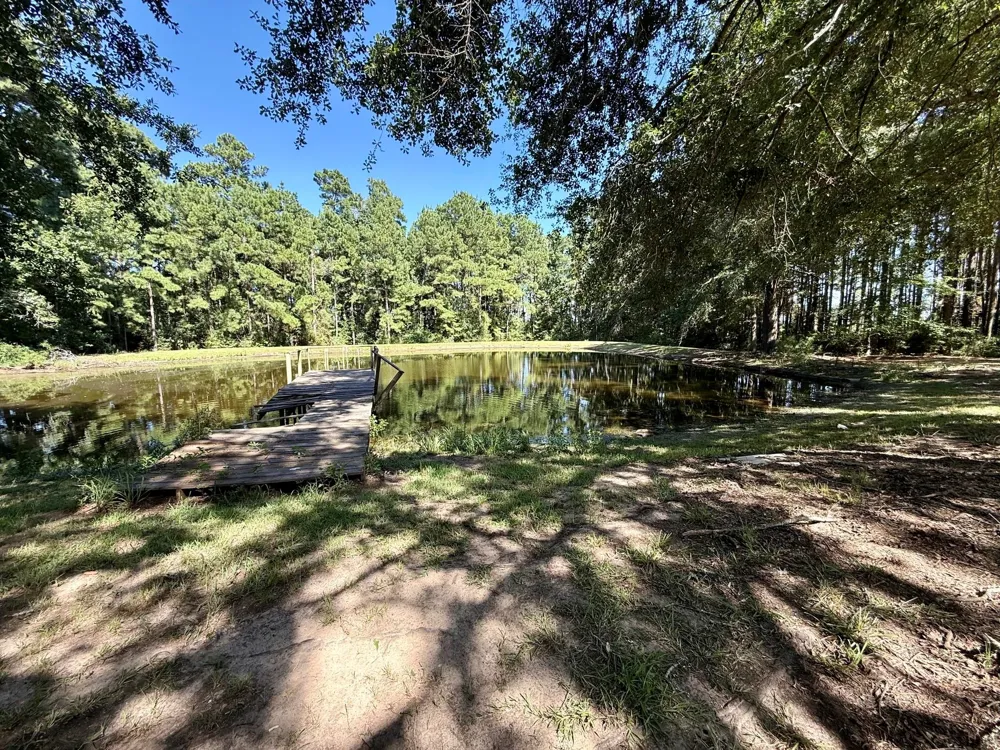 5096 Us Highway 287 Grapeland, TX 75844