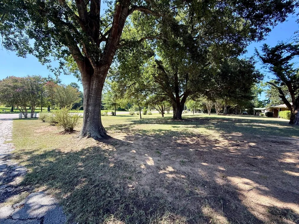 5096 Us Highway 287 Grapeland, TX 75844