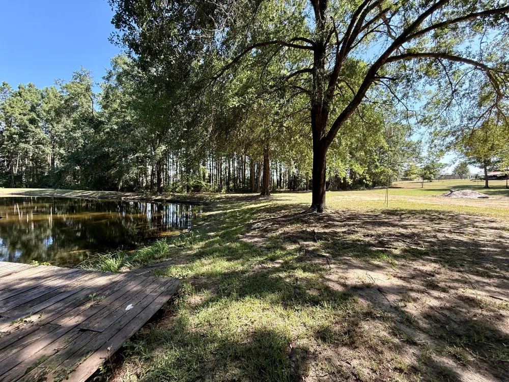 5096 Us Highway 287 Grapeland, TX 75844