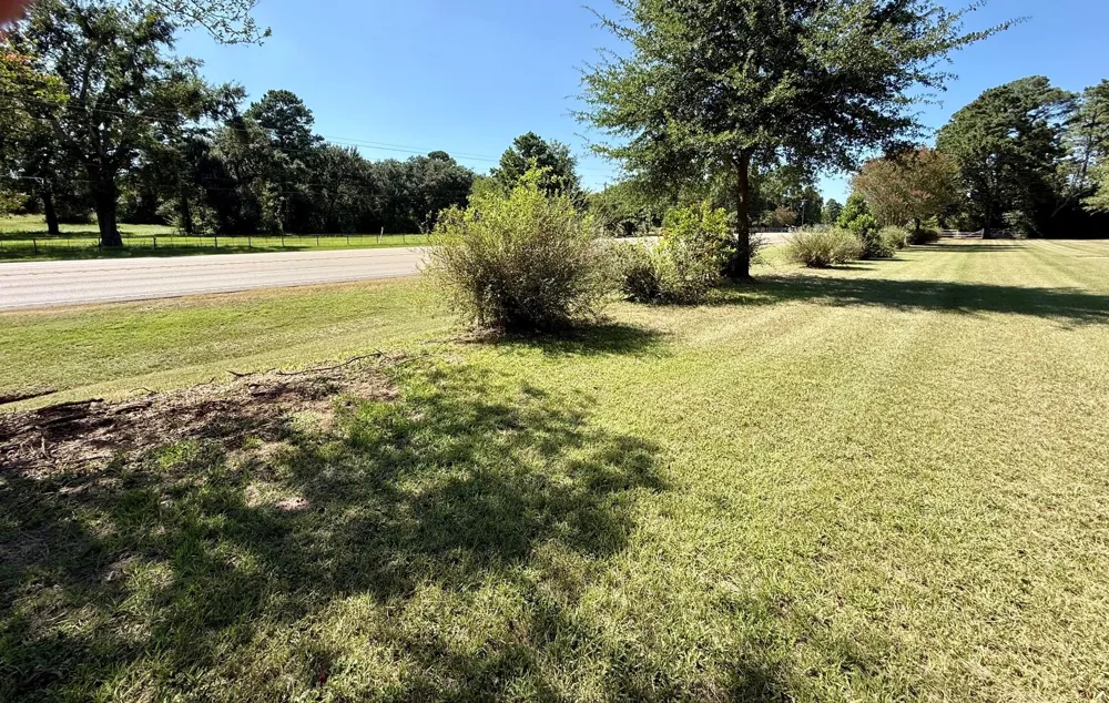 5096 Us Highway 287 Grapeland, TX 75844