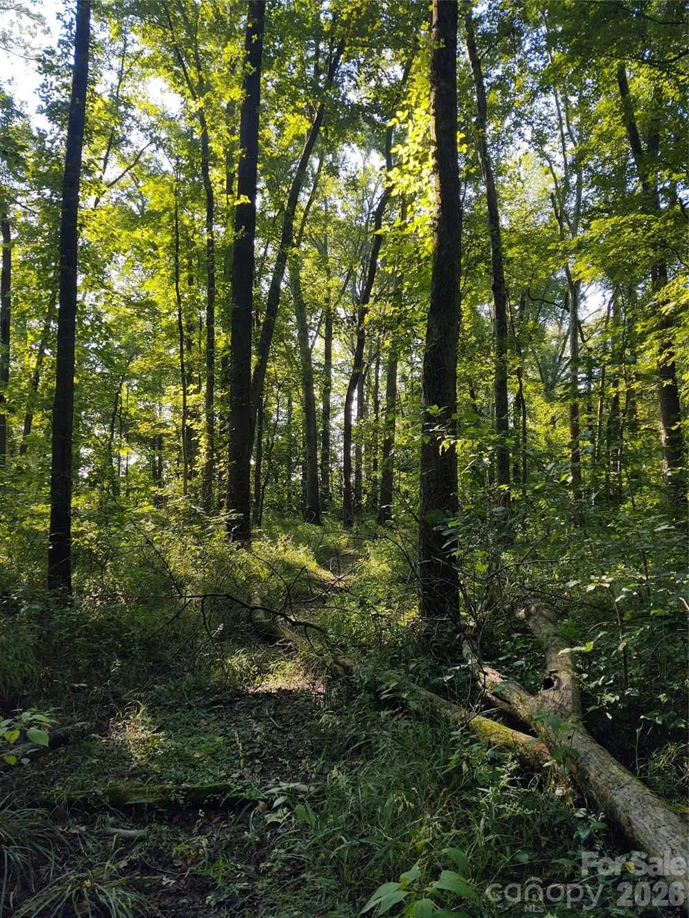 000 Stratton Farm Road Huntersville, NC 28078