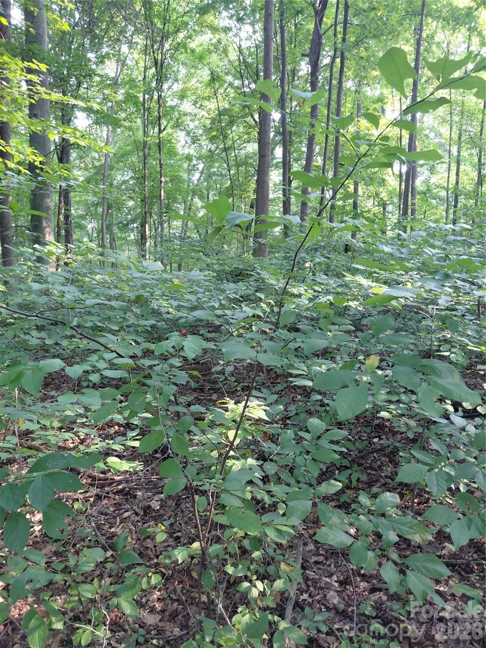 000 Stratton Farm Road Huntersville, NC 28078