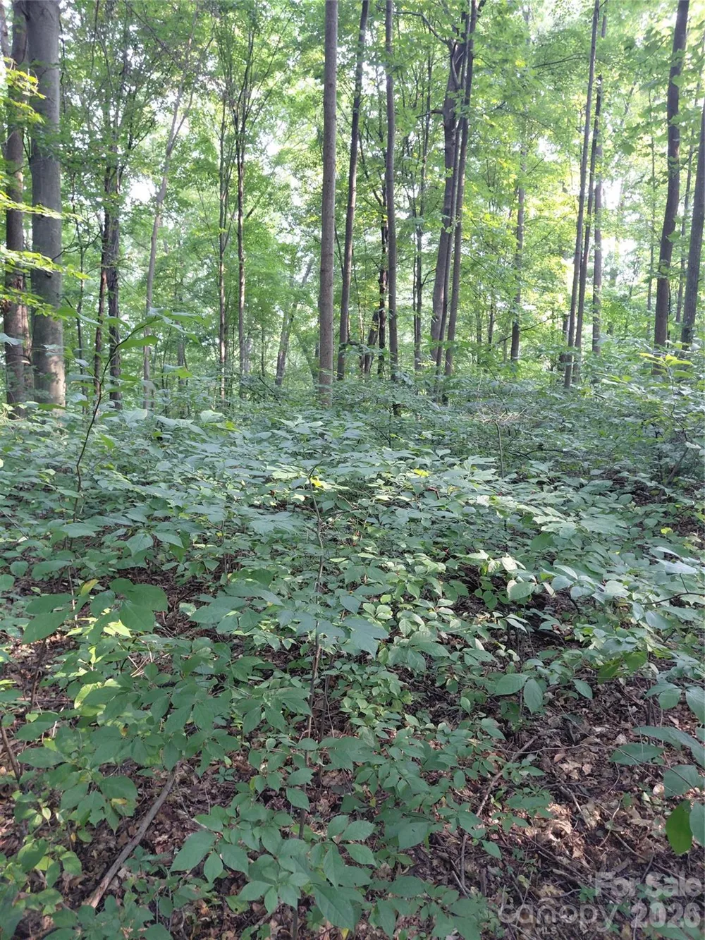 000 Stratton Farm Road Huntersville, NC 28078