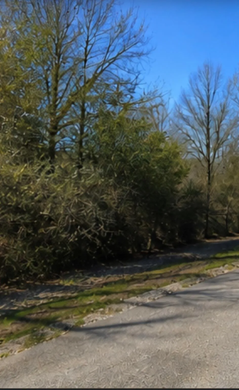Hilltop Road Kendleton, TX 77435
