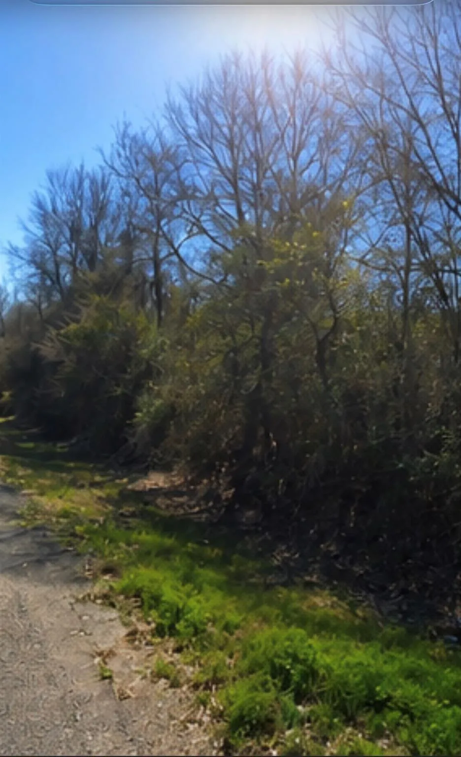 Hilltop Road Kendleton, TX 77435