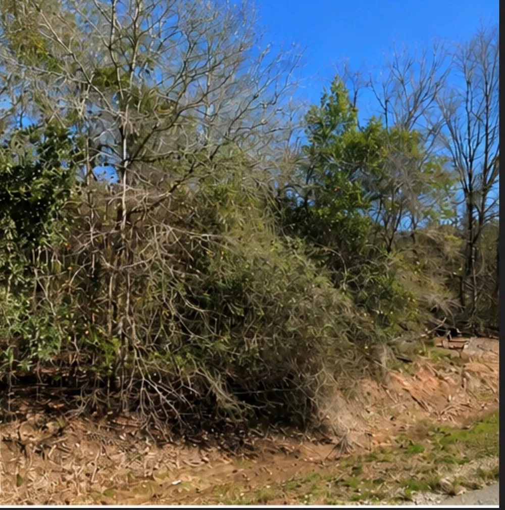 Hilltop Road Kendleton, TX 77435