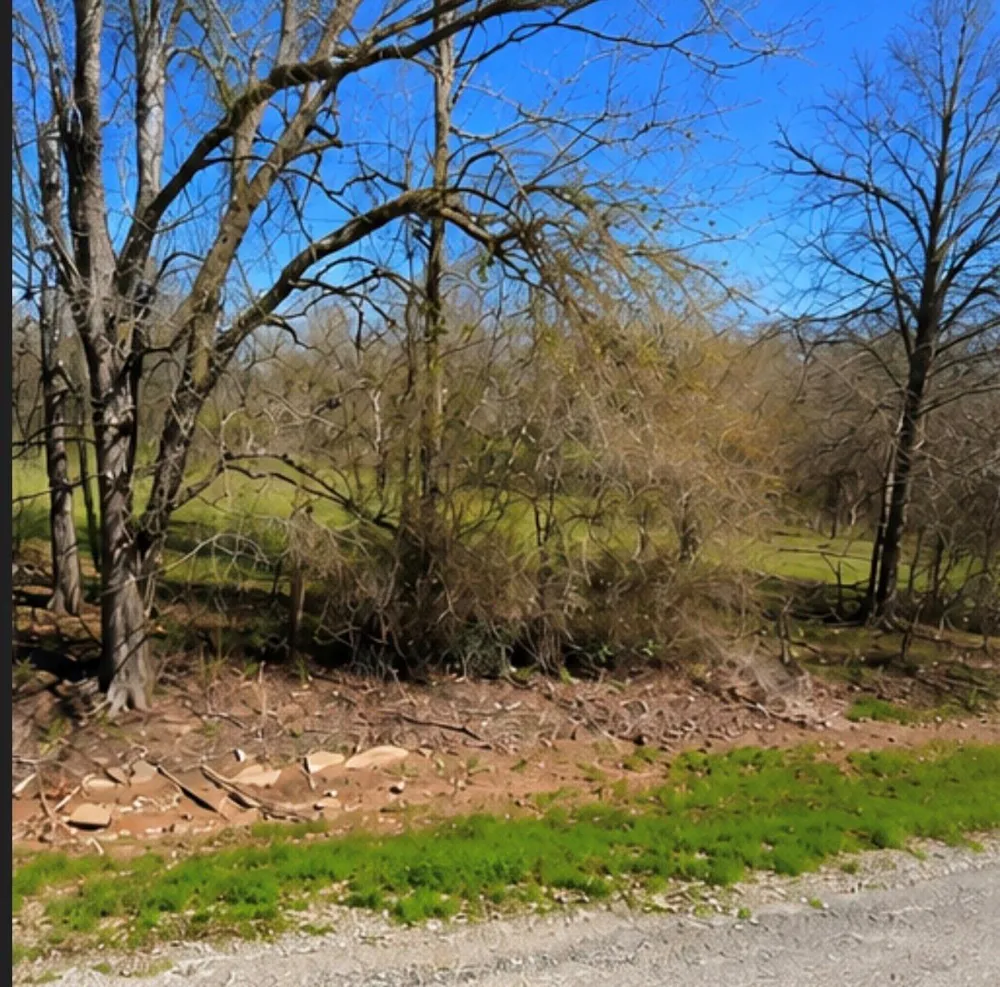 Hilltop Road Kendleton, TX 77435