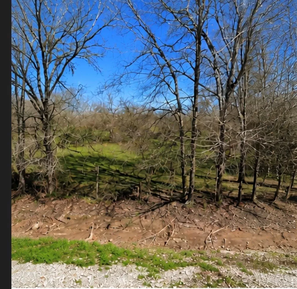 Hilltop Road Kendleton, TX 77435