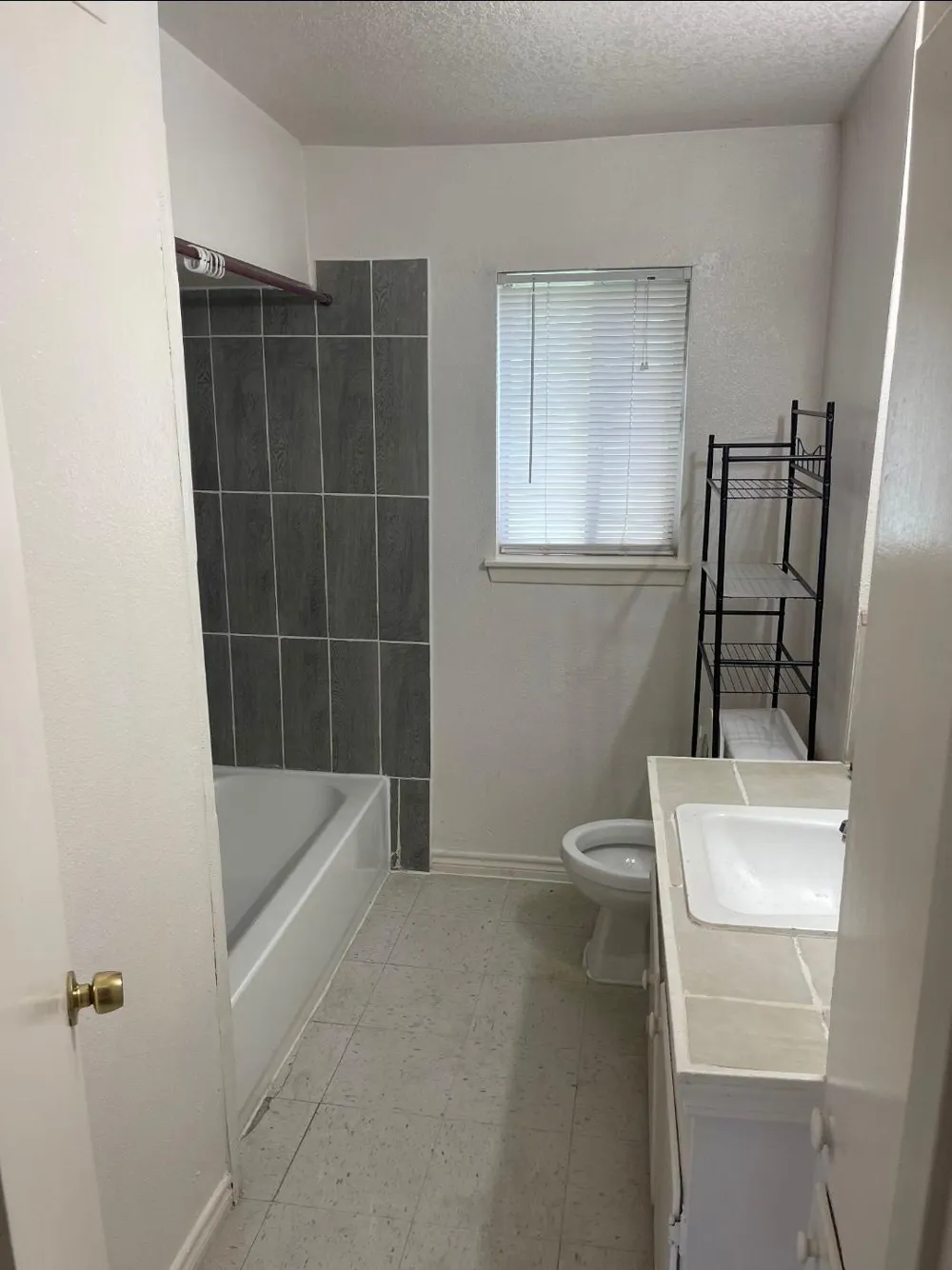 411 Tennessee Street #6 Houston, TX 77029