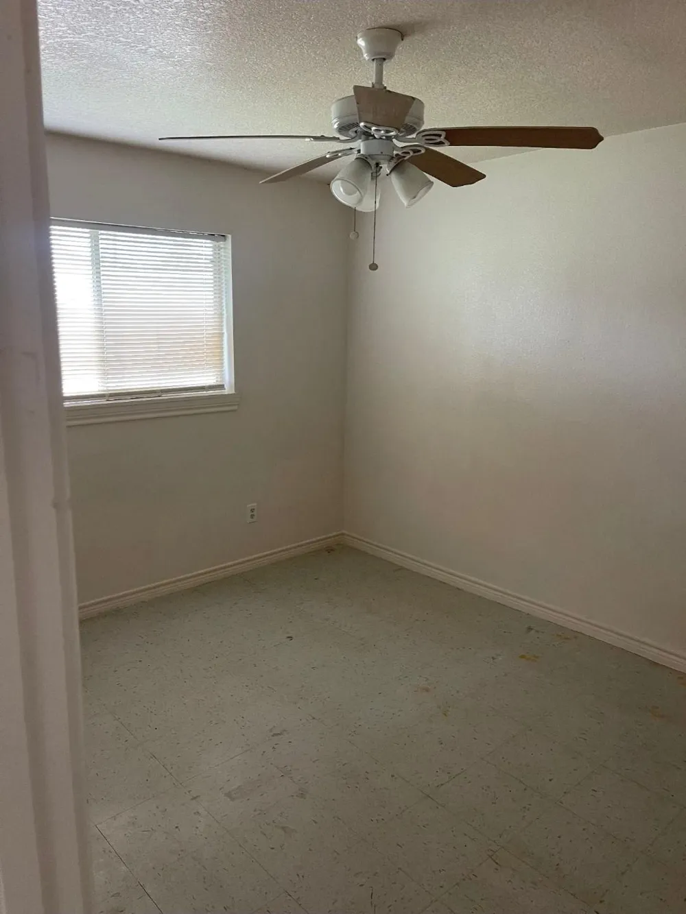 411 Tennessee Street #6 Houston, TX 77029
