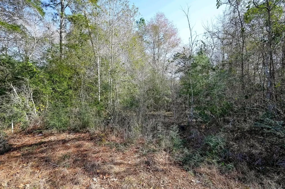 378 County Road 381 Cleveland, TX 77328