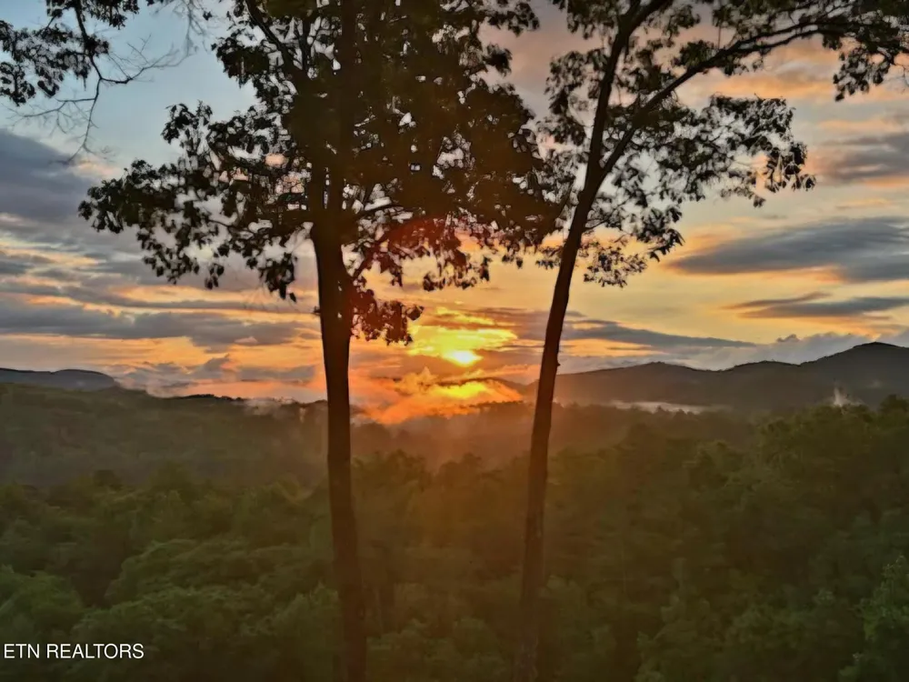 100 Warriors Passage Drive Tellico Plains, TN 37385