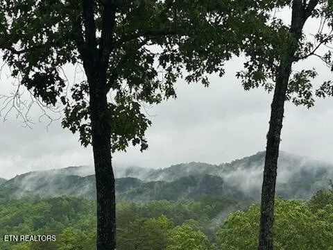 100 Warriors Passage Drive Tellico Plains, TN 37385