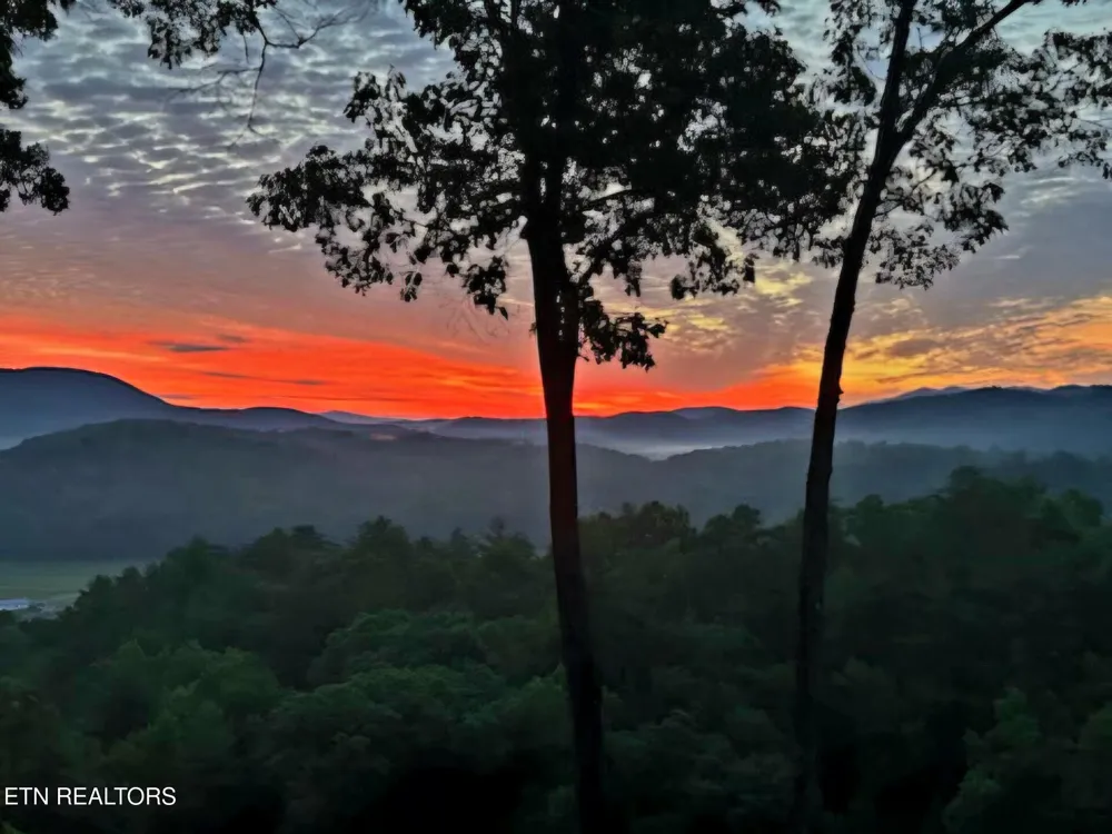 100 Warriors Passage Drive Tellico Plains, TN 37385