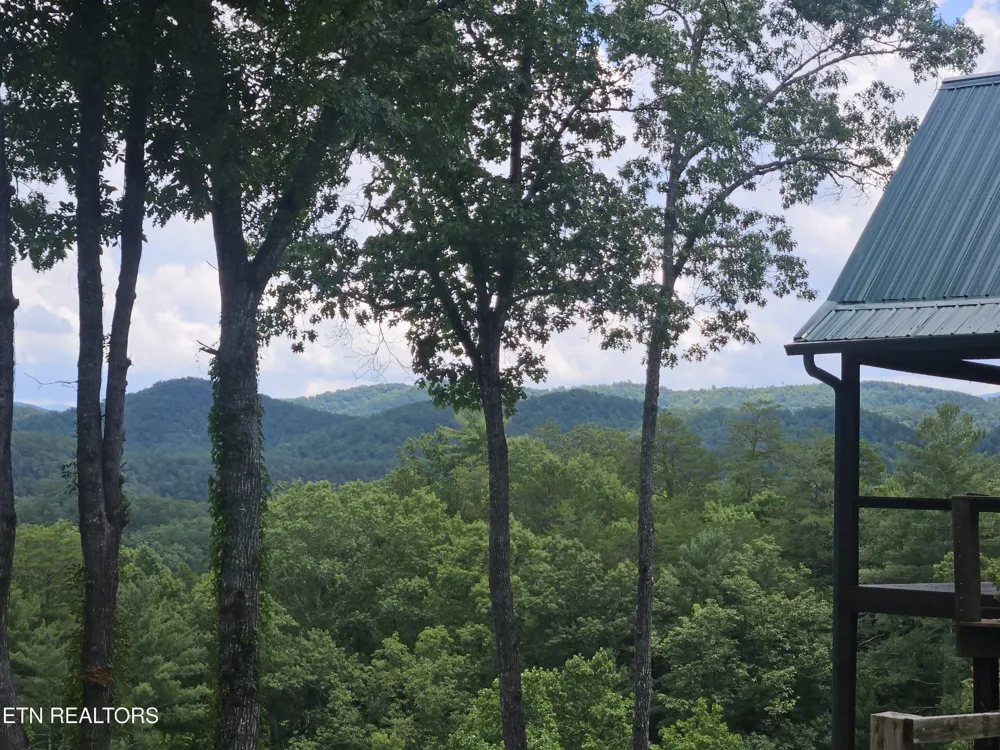 100 Warriors Passage Drive Tellico Plains, TN 37385