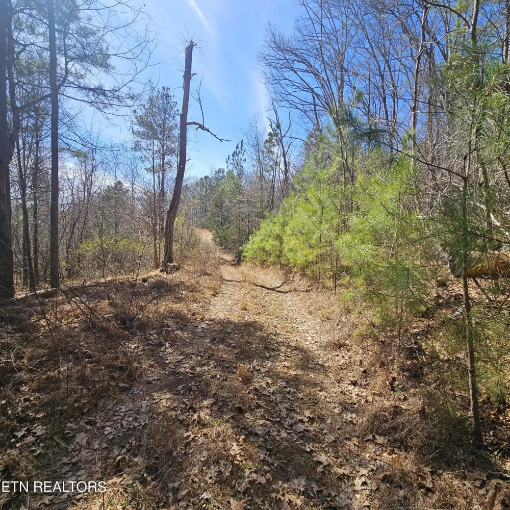0 Lick Creek Rd Tellico Plains, TN 37385