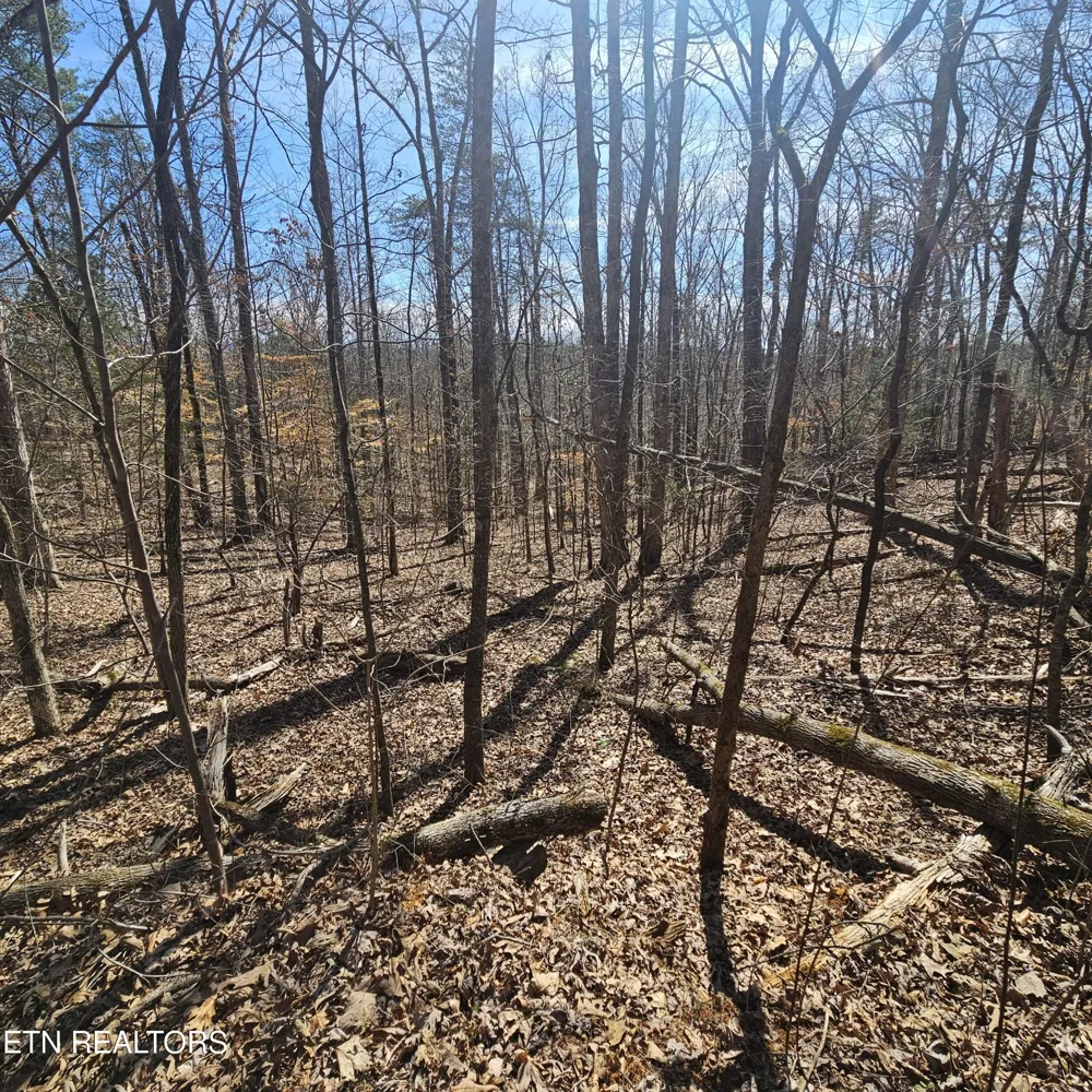 0 Lick Creek Rd Tellico Plains, TN 37385