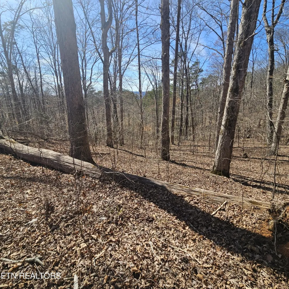0 Lick Creek Rd Tellico Plains, TN 37385