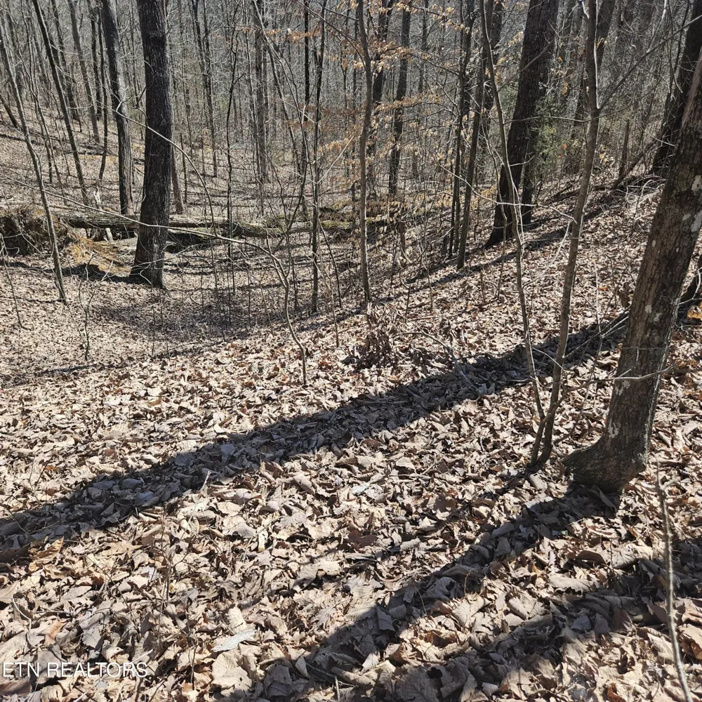 0 Lick Creek Rd Tellico Plains, TN 37385
