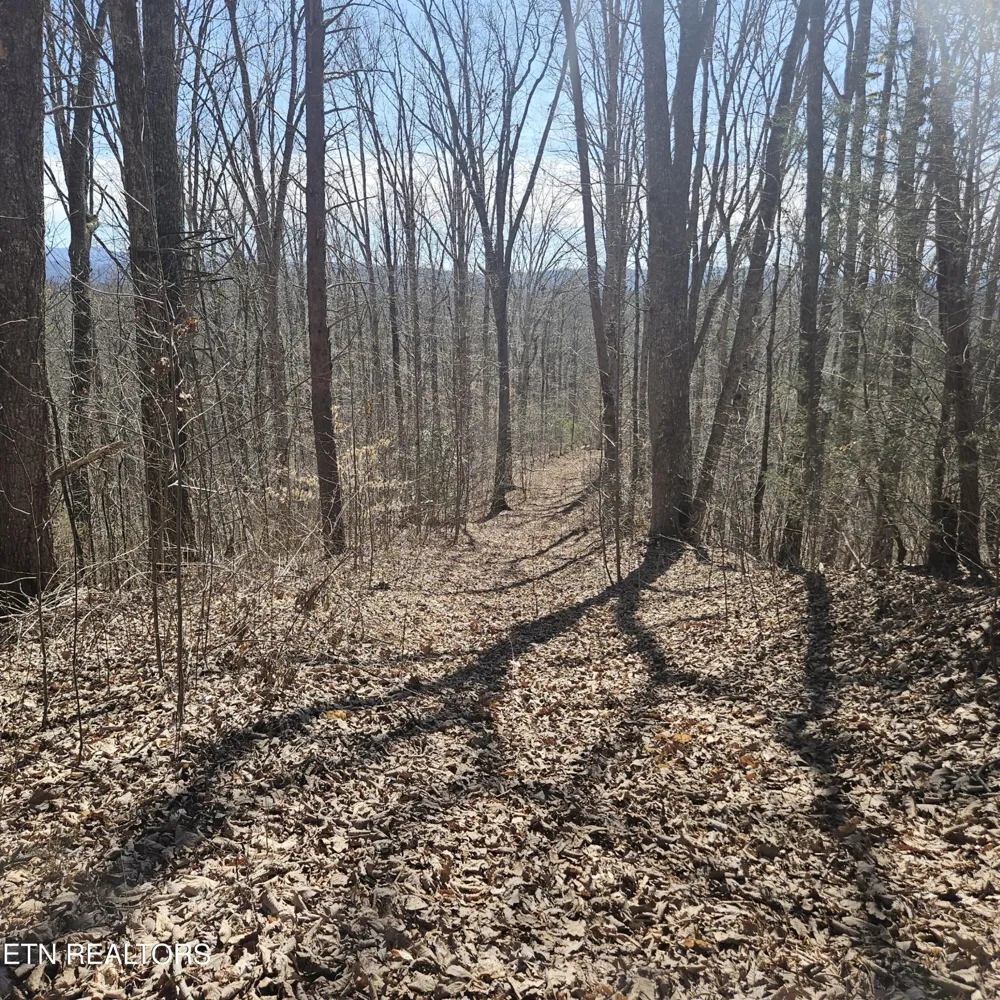 0 Lick Creek Rd Tellico Plains, TN 37385
