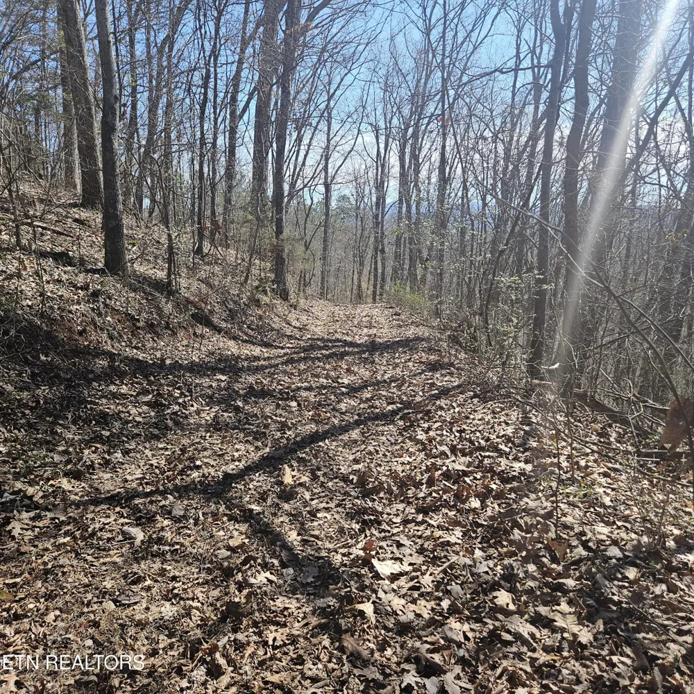 0 Lick Creek Rd Tellico Plains, TN 37385