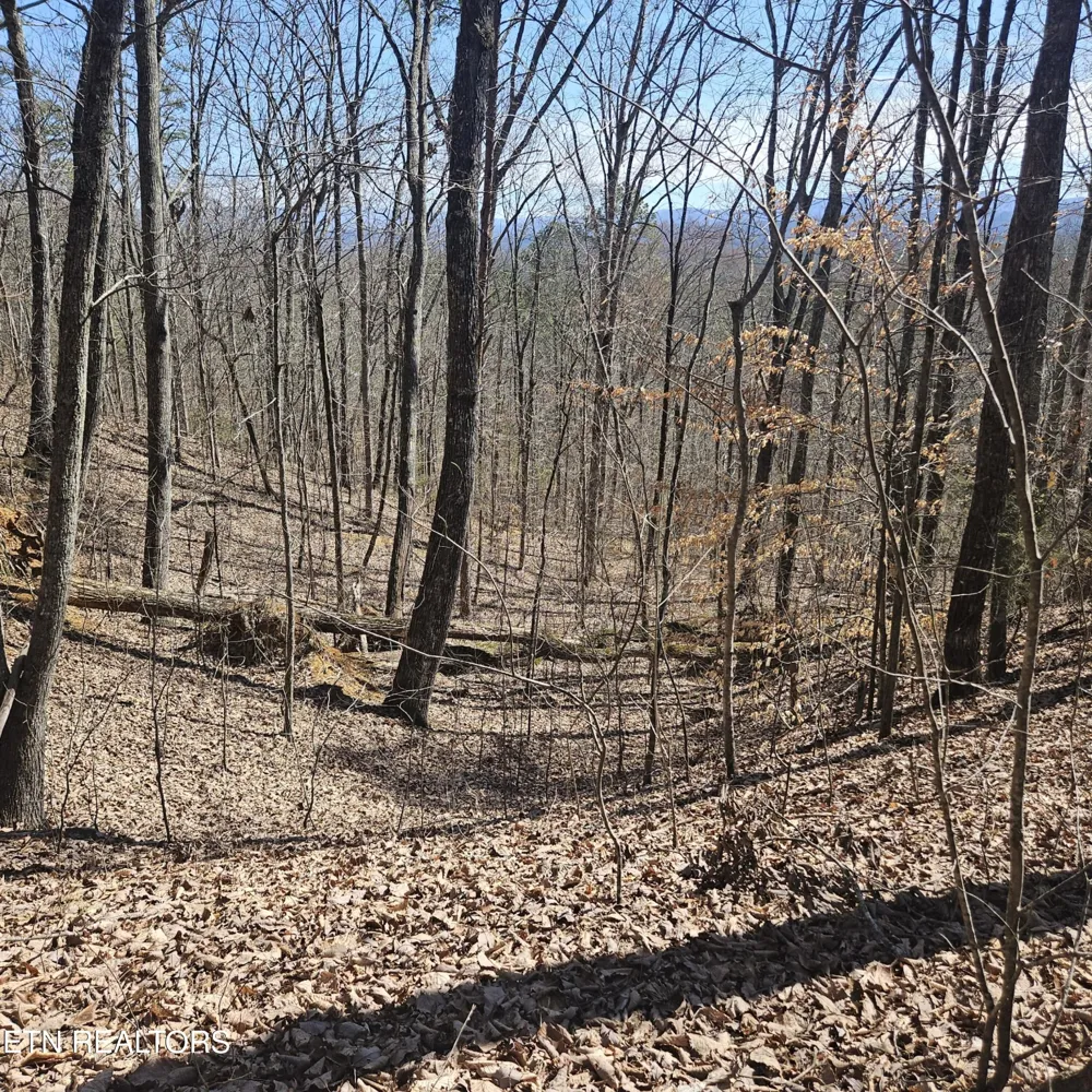 0 Lick Creek Rd Tellico Plains, TN 37385