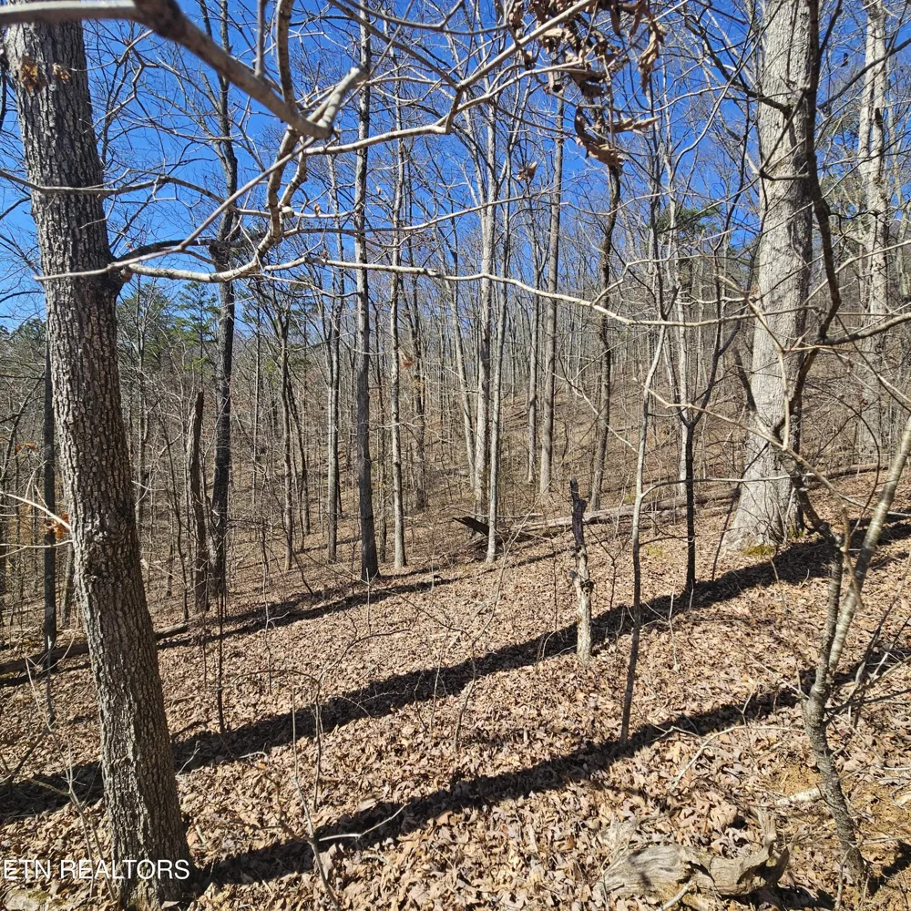 0 Lick Creek Rd Tellico Plains, TN 37385