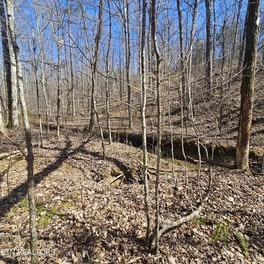 0 Lick Creek Rd Tellico Plains, TN 37385