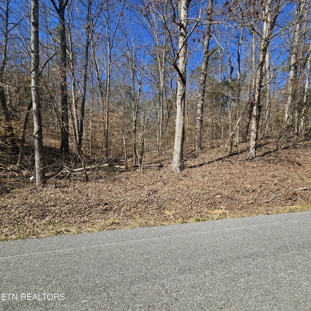0 Lick Creek Rd Tellico Plains, TN 37385