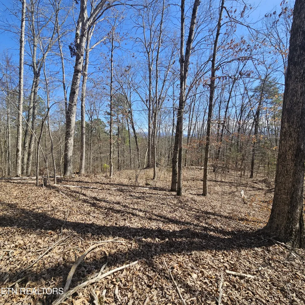 0 Lick Creek Rd Tellico Plains, TN 37385