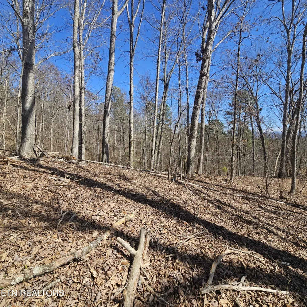 0 Lick Creek Rd Tellico Plains, TN 37385