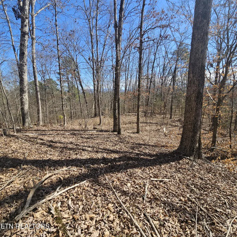 0 Lick Creek Rd Tellico Plains, TN 37385