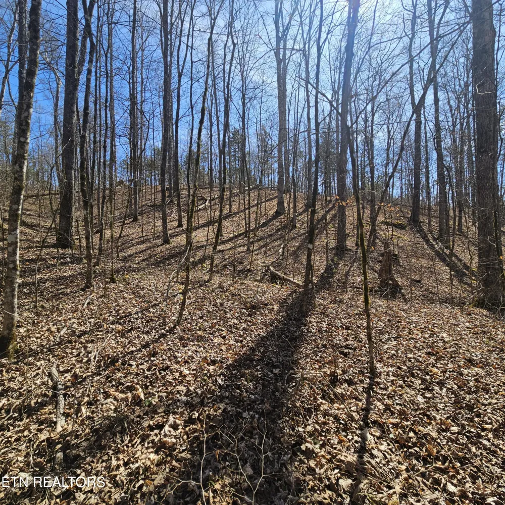 0 Lick Creek Rd Tellico Plains, TN 37385