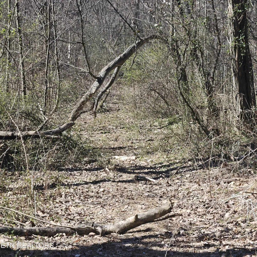 0 Lick Creek Rd Tellico Plains, TN 37385