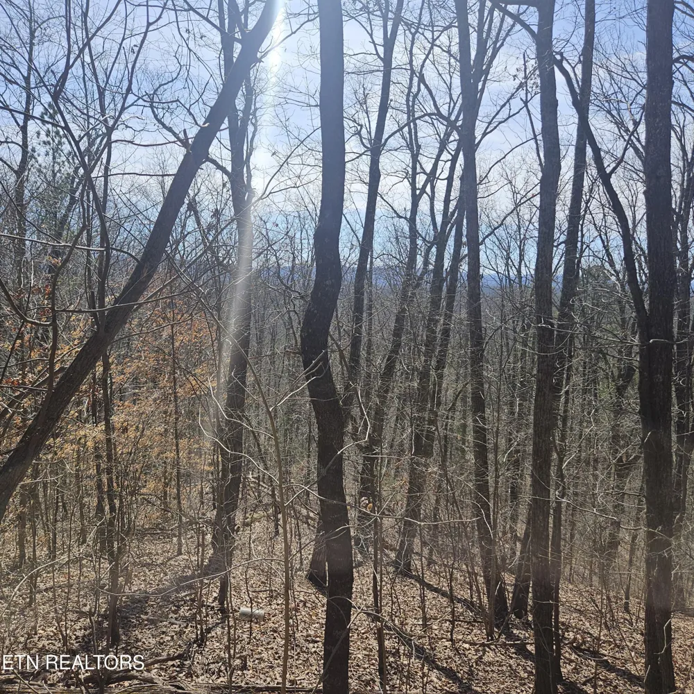 0 Lick Creek Rd Tellico Plains, TN 37385