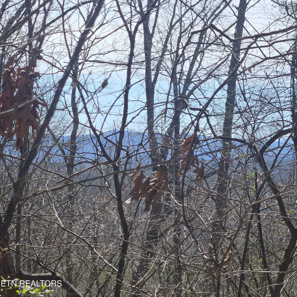 0 Lick Creek Rd Tellico Plains, TN 37385
