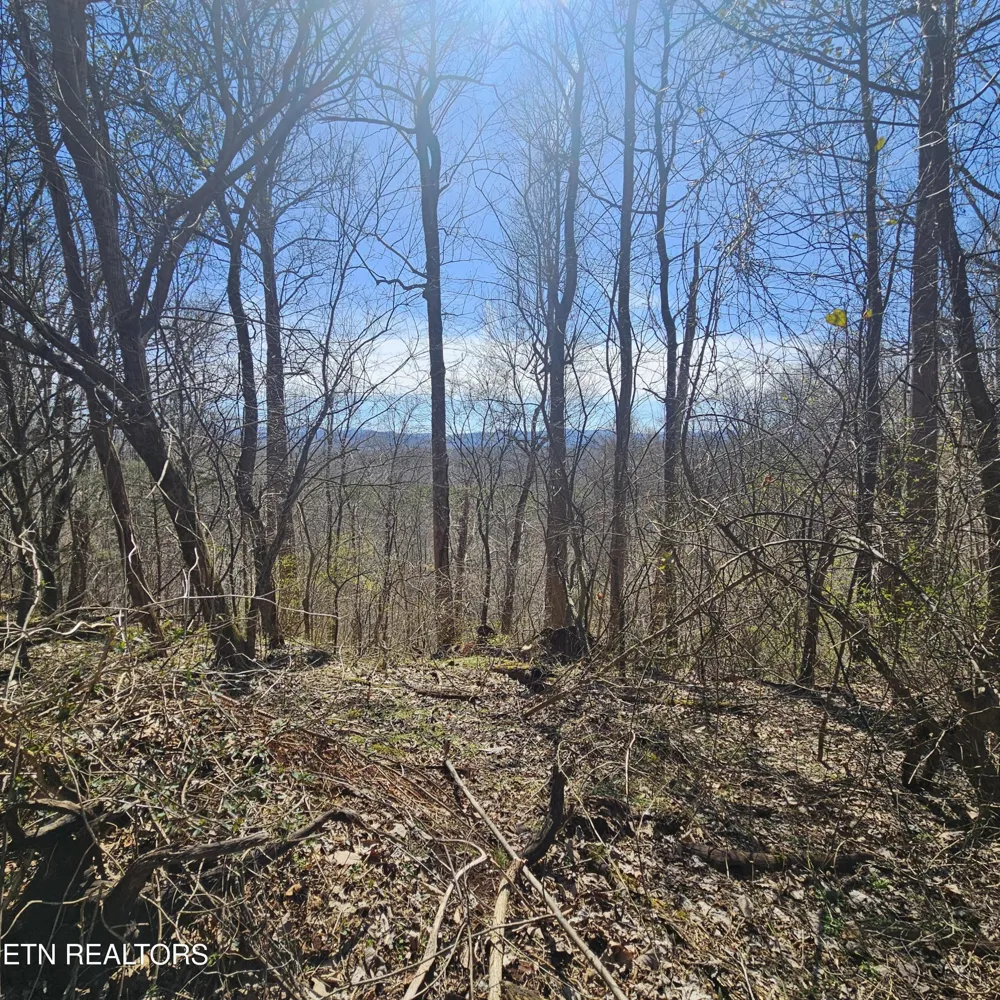 0 Lick Creek Rd Tellico Plains, TN 37385