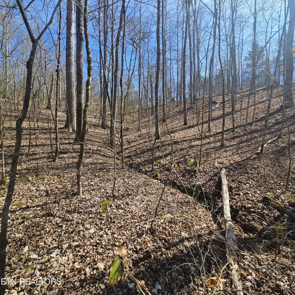 0 Lick Creek Rd Tellico Plains, TN 37385