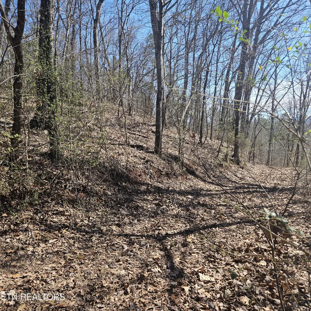 0 Lick Creek Rd Tellico Plains, TN 37385
