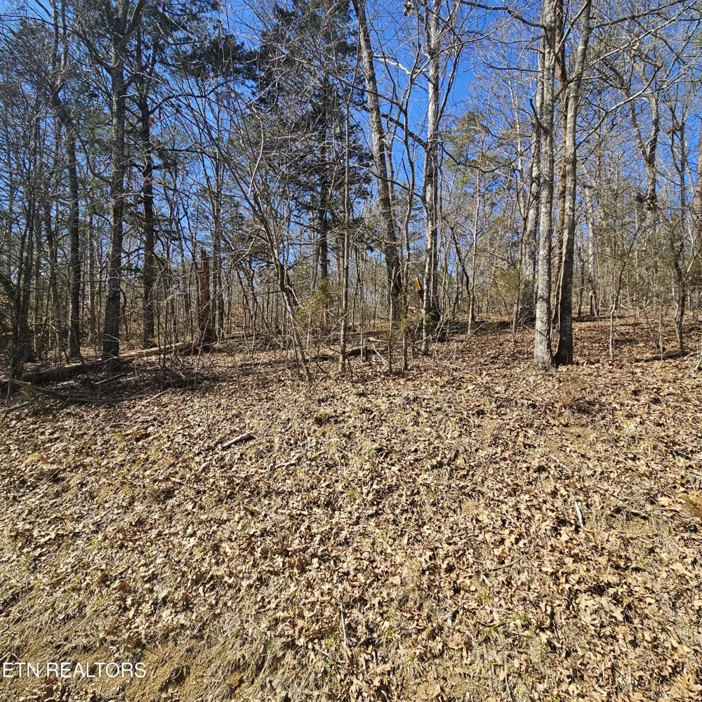 0 Lick Creek Rd Tellico Plains, TN 37385