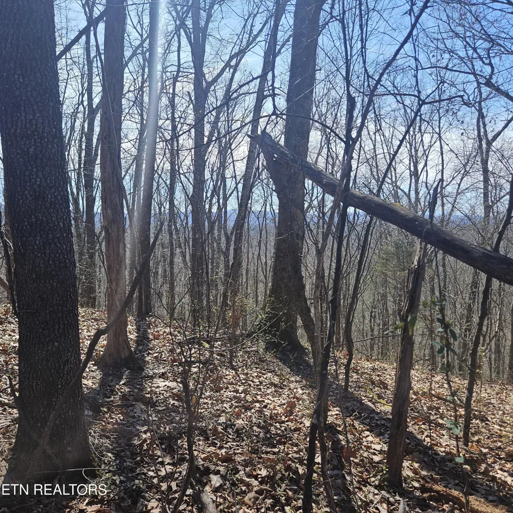 0 Lick Creek Rd Tellico Plains, TN 37385