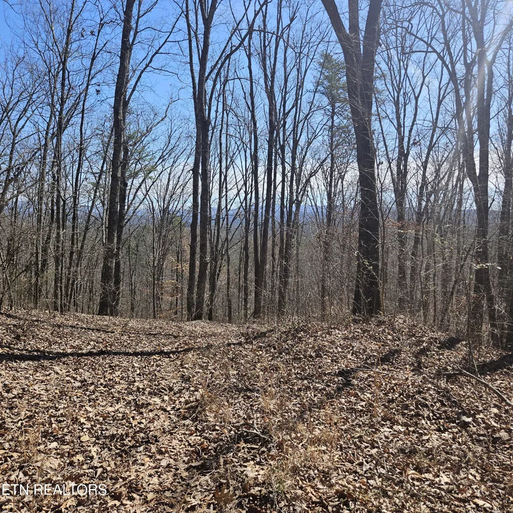 0 Lick Creek Rd Tellico Plains, TN 37385
