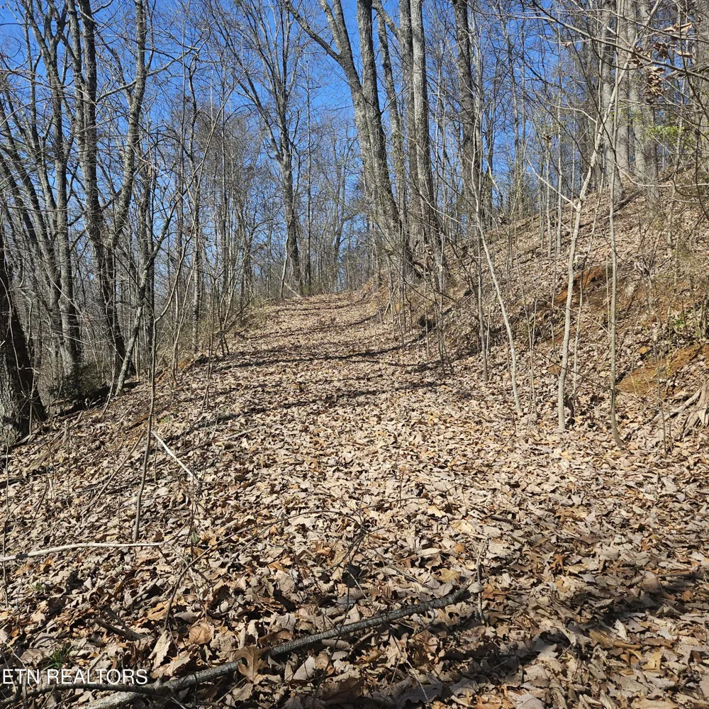 0 Lick Creek Rd Tellico Plains, TN 37385