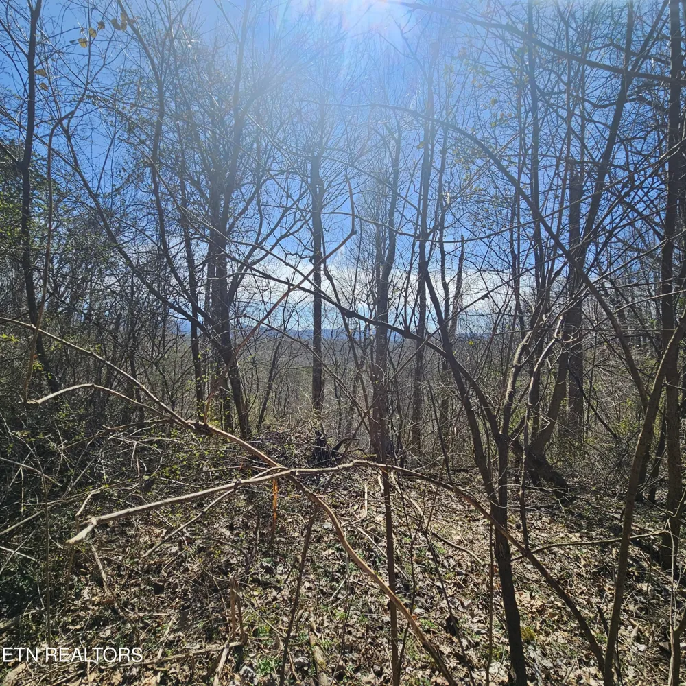 0 Lick Creek Rd Tellico Plains, TN 37385