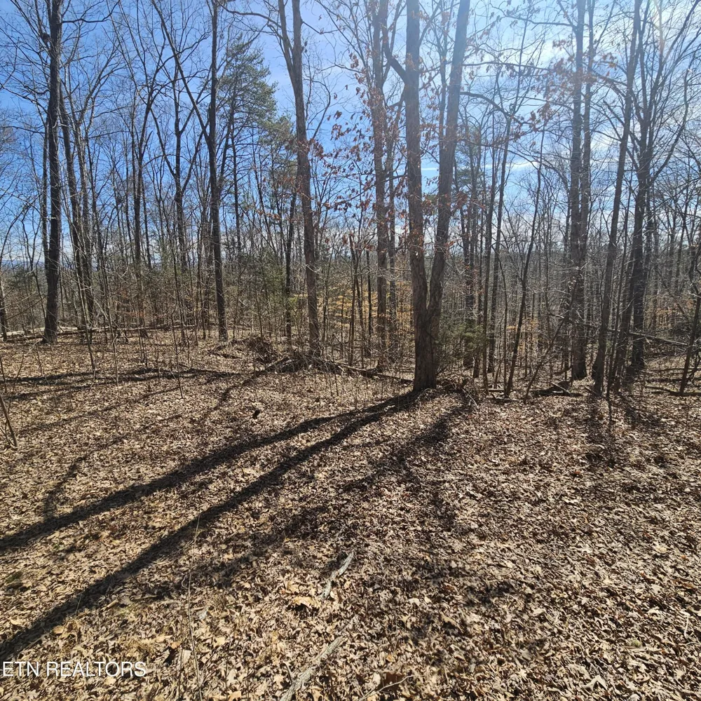 0 Lick Creek Rd Tellico Plains, TN 37385