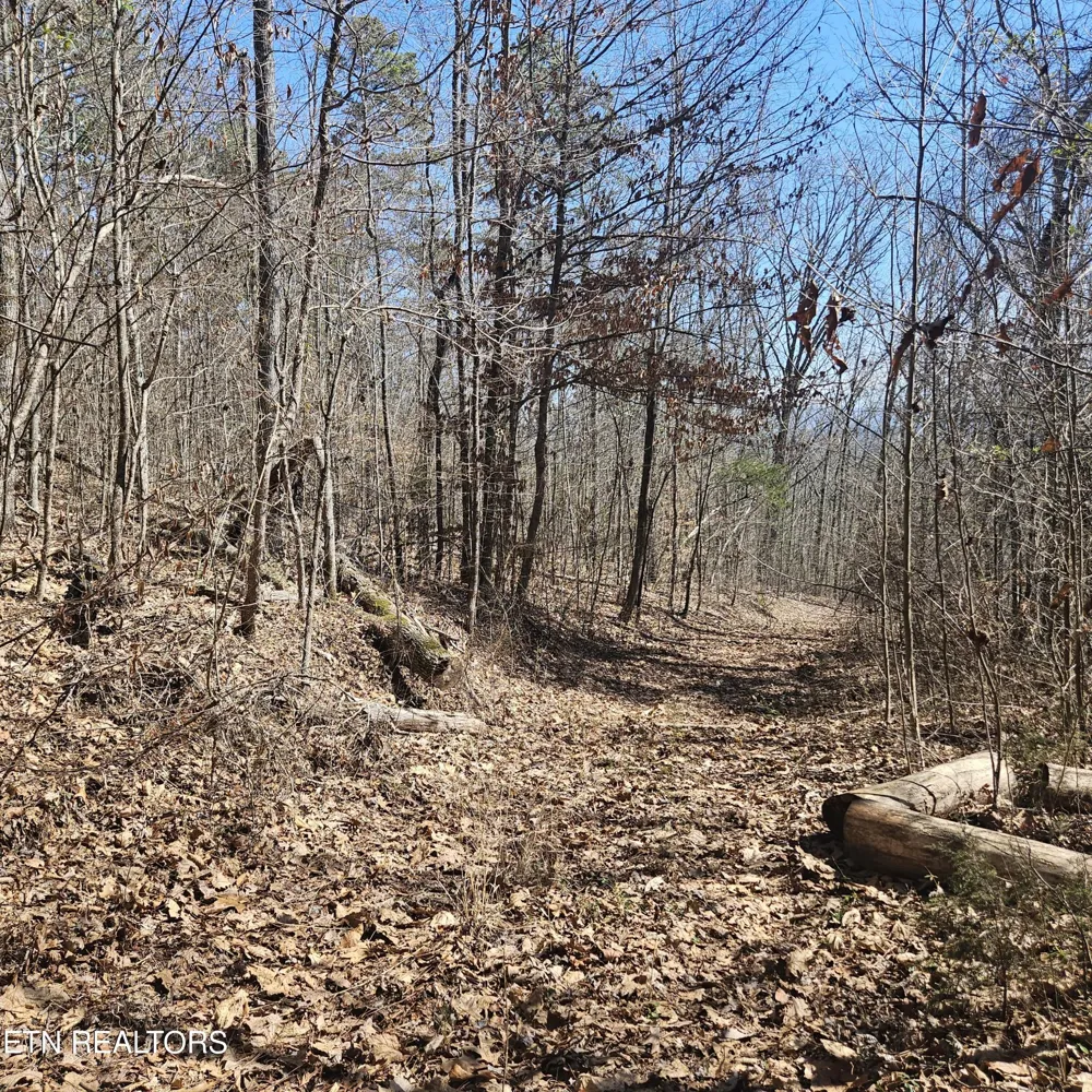 0 Lick Creek Rd Tellico Plains, TN 37385