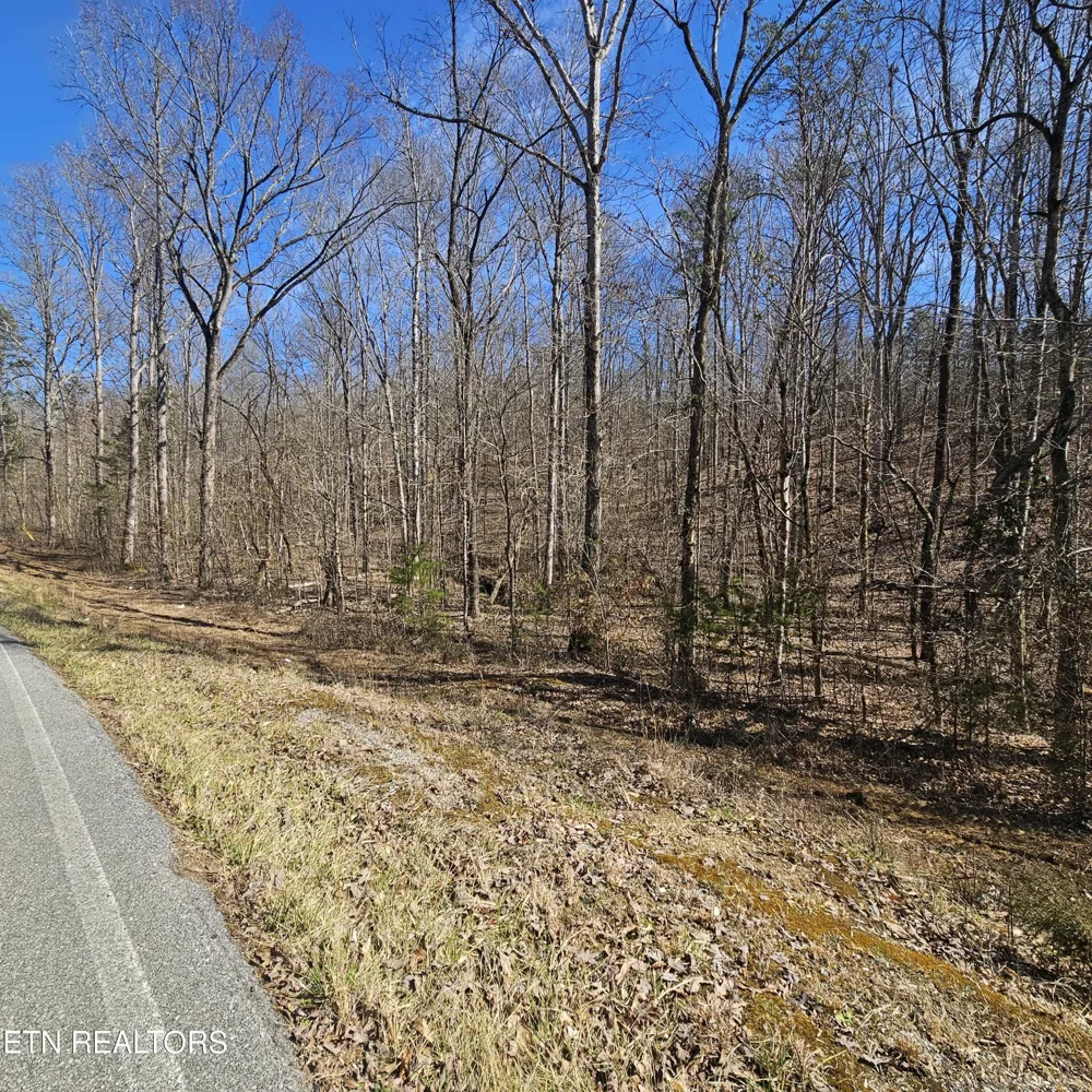 0 Lick Creek Rd Tellico Plains, TN 37385